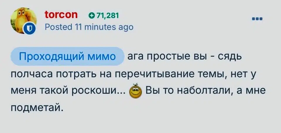 Скриншот комментария пользователя torcon, сетующего на нехватку времени для перечитывания тем и намекающего на уборку.