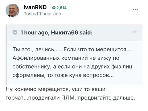 Скриншот комментария пользователя Никита66 с текстом о мерещащихся аффилированных компаниях и призывом лечиться.