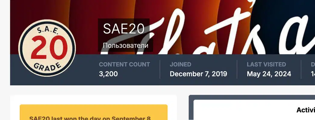 Заголовок профиля пользователя с круглой эмблемой в стильном дизайне с номером 20 на фоне крупной каллиграфической надписи.